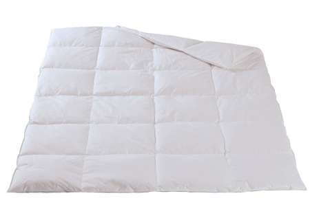 Winter-Daunen Duvet Eranthis SANITIZED von DOR Dorbena